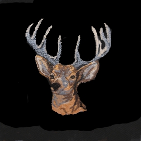 Deer Head 1
